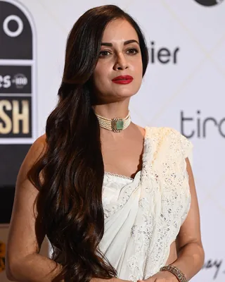 Dia Mirza — Film actor
