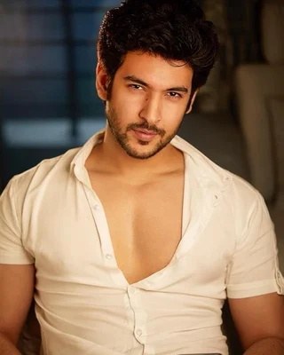 Shivin Narang — Film actor